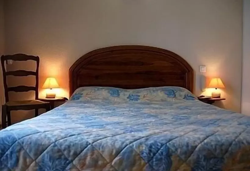 Отель De France