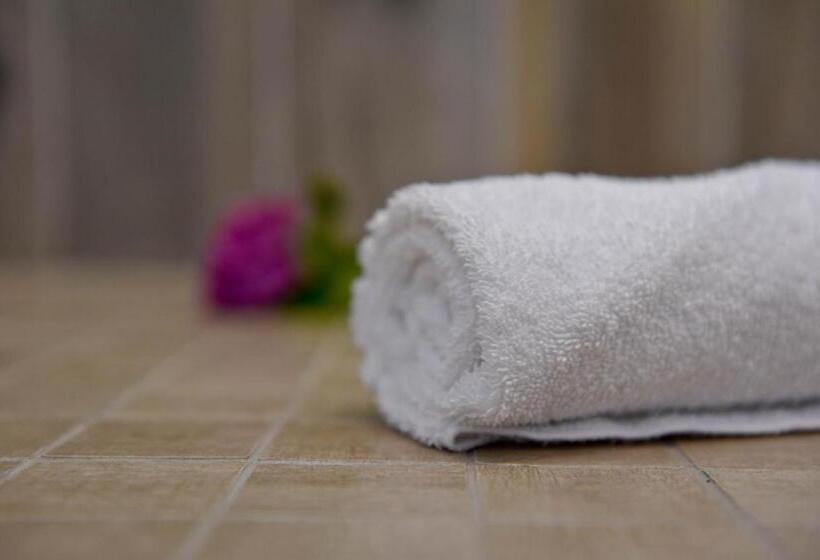 Logis Hotel De France