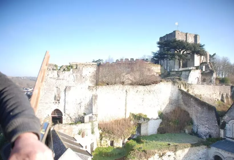 فندق Hôtel Le Bellevue Montrichard 3 étoiles