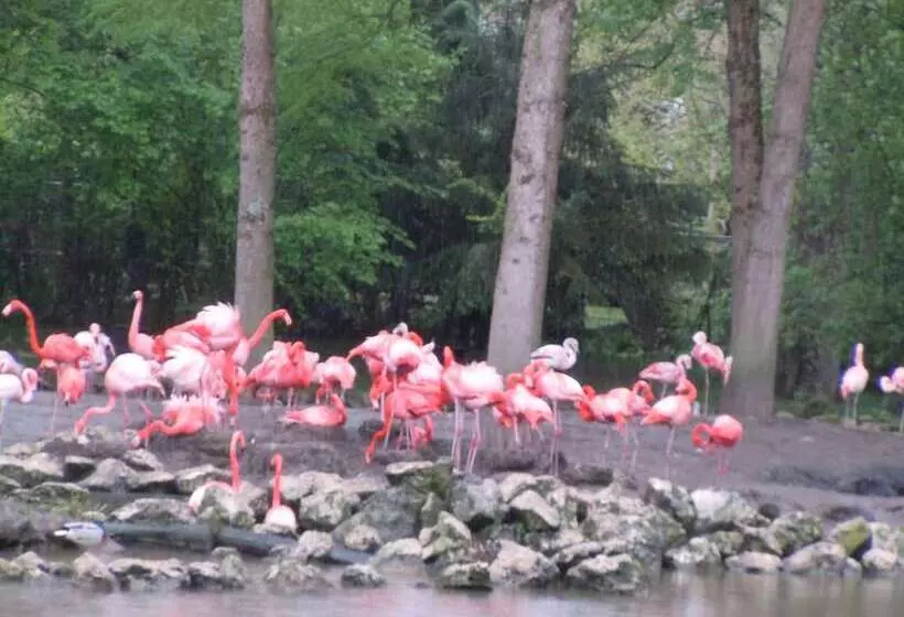 فندق Hôtel Le Bellevue Montrichard 3 étoiles