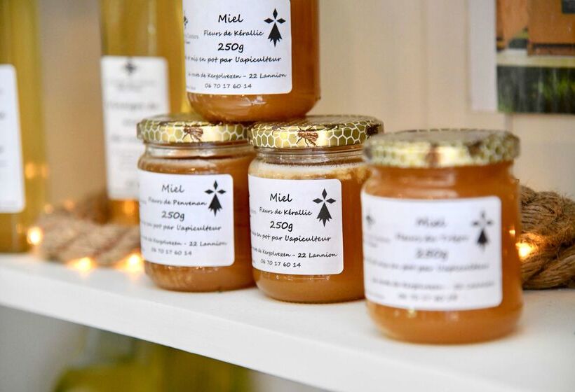 Hotel Kyriad Lannionperros Guirec