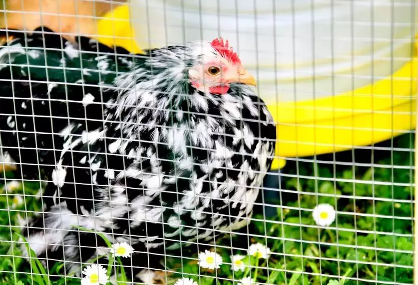 Hotel Kyriad Lannionperros Guirec