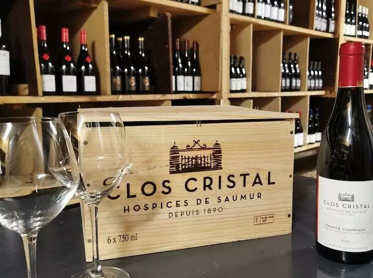 Отель Les Terrasses De Saumur   Hôtel & Appartements   Restaurant & Spa