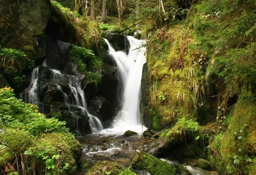 בית מלון כפרי Hôtel Restaurant La Cigogne