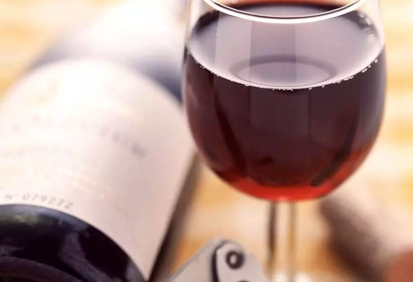 Hotel Ibis Beziers Est Mediterranee A9/a75