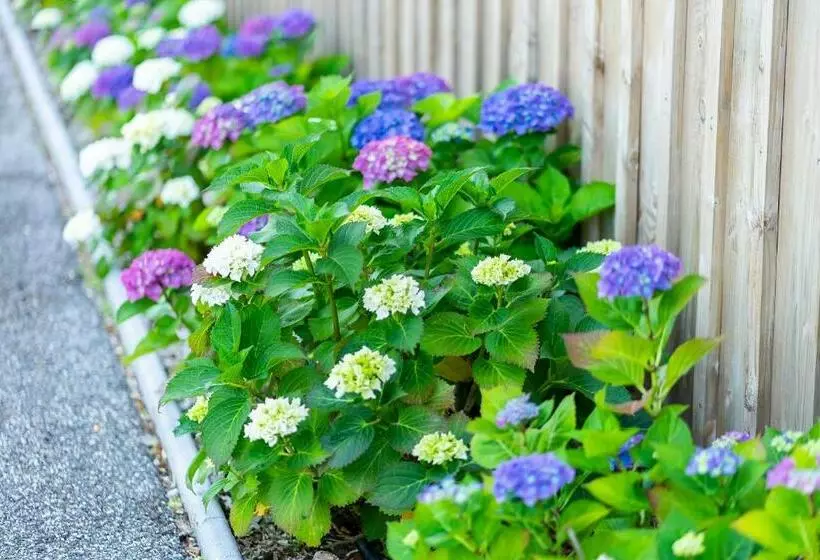 فندق La Frégate