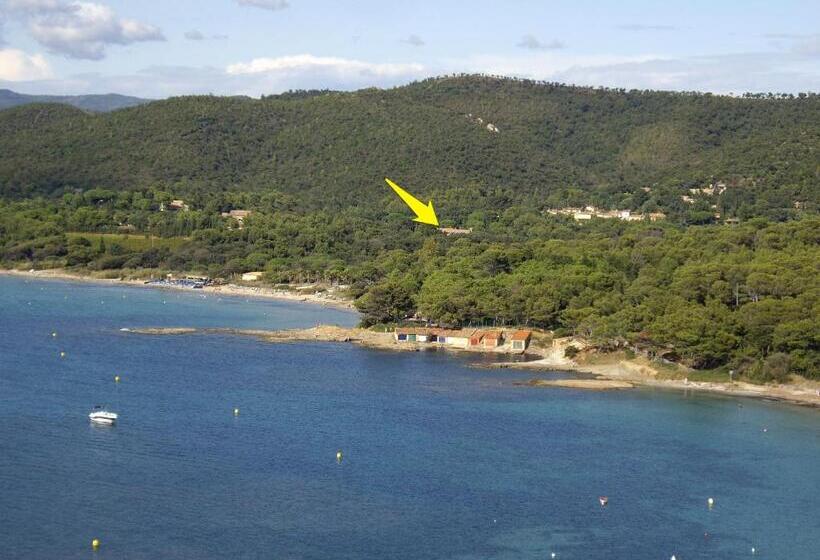 Отель Hôtel Les Palmiers