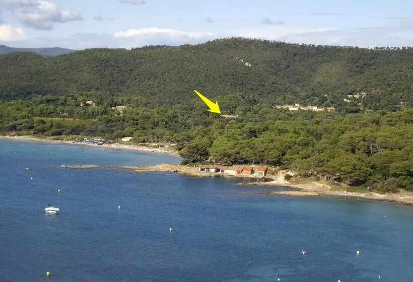 Отель Hôtel Les Palmiers