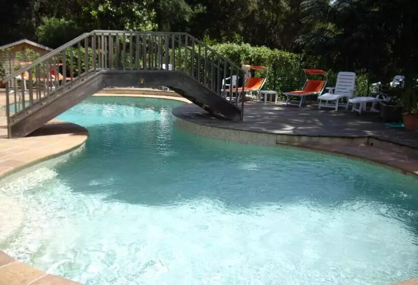 Отель Hôtel Les Palmiers