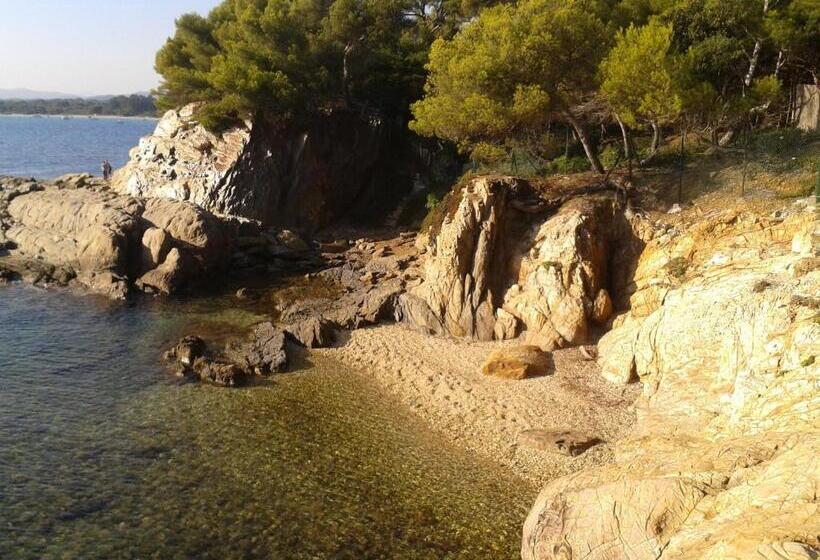 Отель Hôtel Les Palmiers