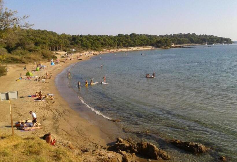 Отель Hôtel Les Palmiers