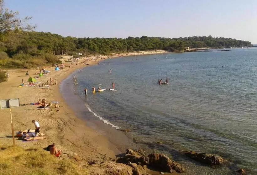 Отель Hôtel Les Palmiers