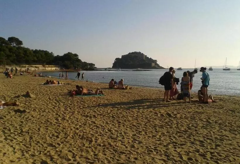 Отель Hôtel Les Palmiers