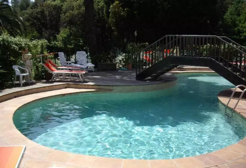 Отель Hôtel Les Palmiers