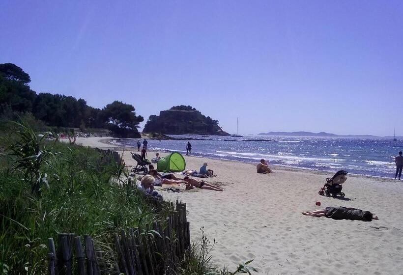 Отель Hôtel Les Palmiers