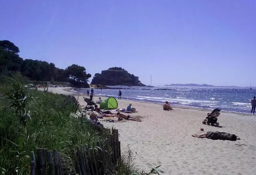 Отель Hôtel Les Palmiers