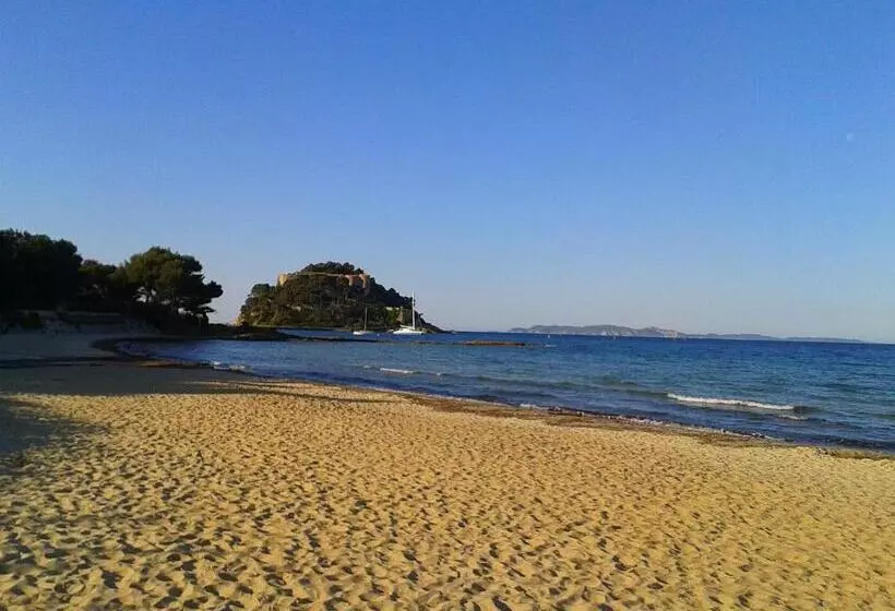 Отель Hôtel Les Palmiers