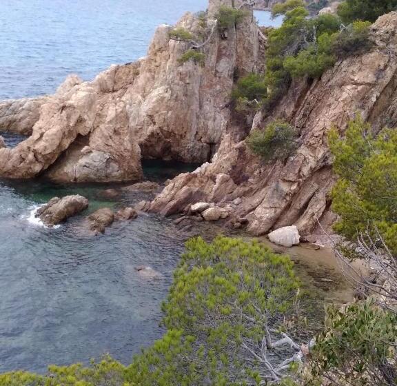 Отель Hôtel Les Palmiers