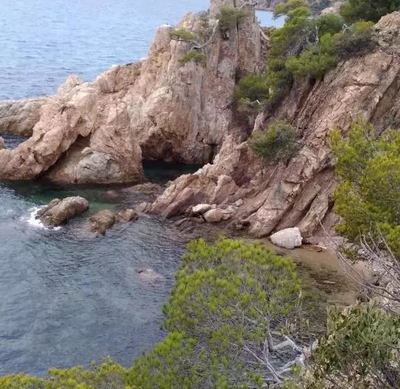 Отель Hôtel Les Palmiers