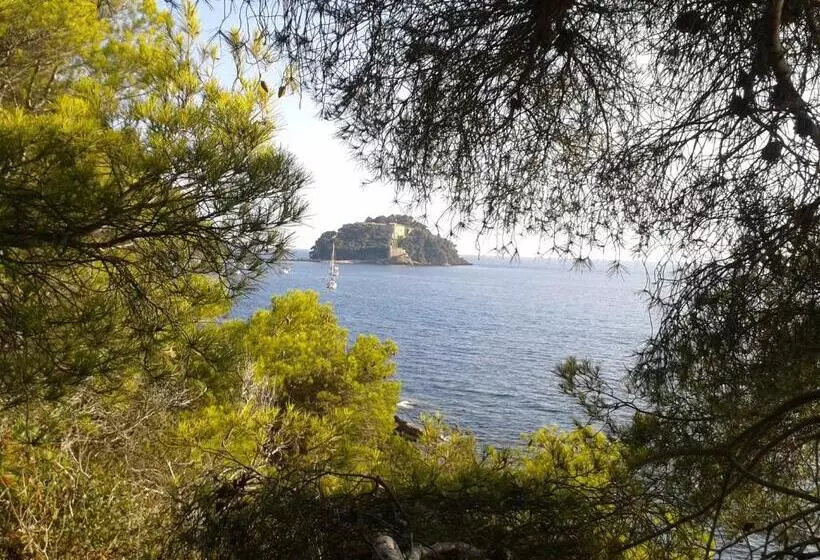 Отель Hôtel Les Palmiers