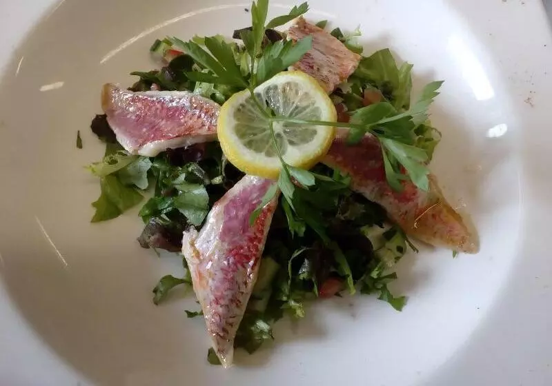 Le Galion Hotel Et Restaurant Canet Plage   Logis