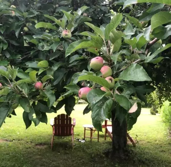 Hotel Le Relais Notre Dame