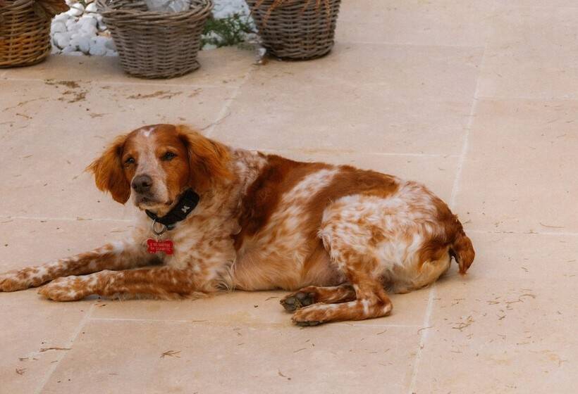 هتل Les Messugues