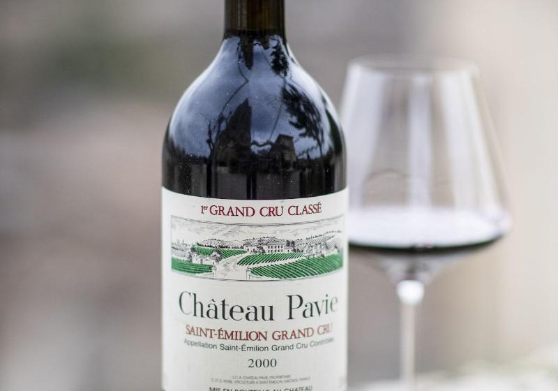 فندق Hôtel De Pavie