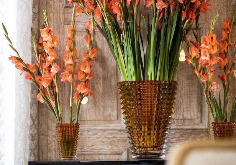 فندق Hôtel De Pavie