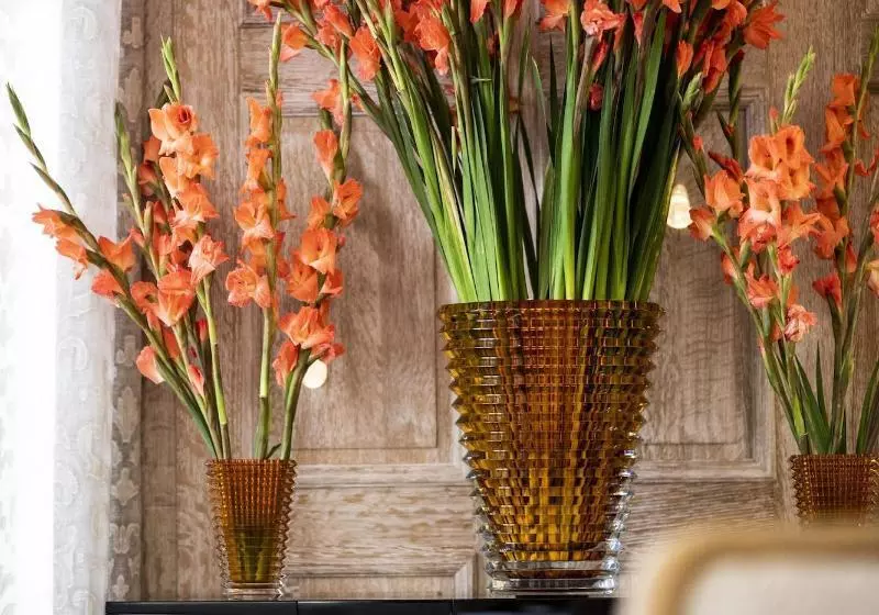 בית מלון כפרי Hôtel De Pavie