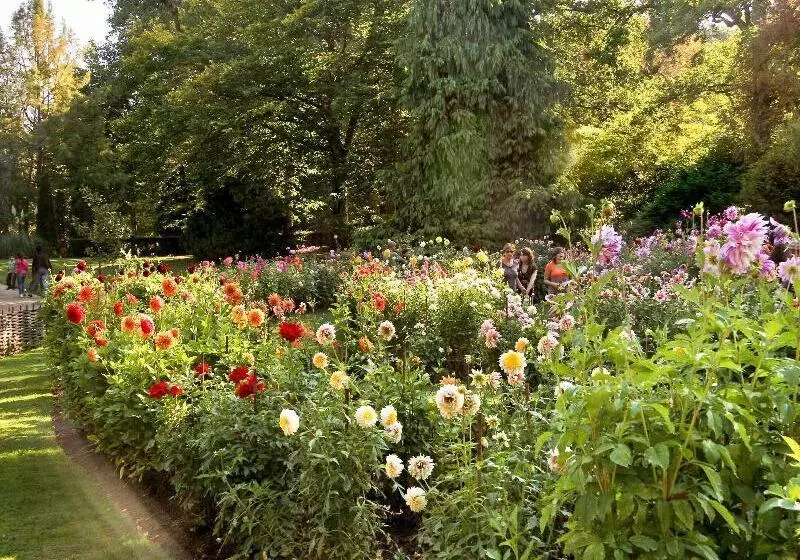 Hotel Ibis Orleans Centre Gare