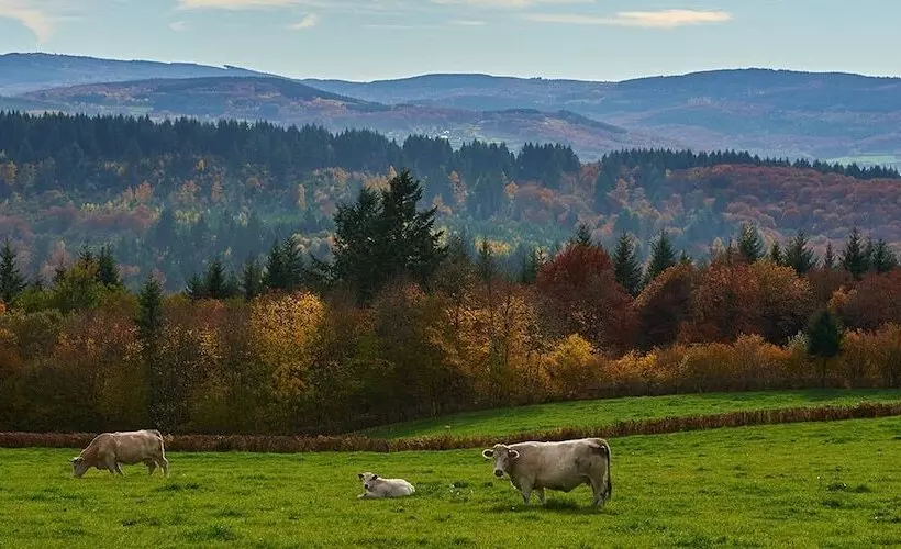 Отель Le Relais Des Lacs Bourgogne Morvan