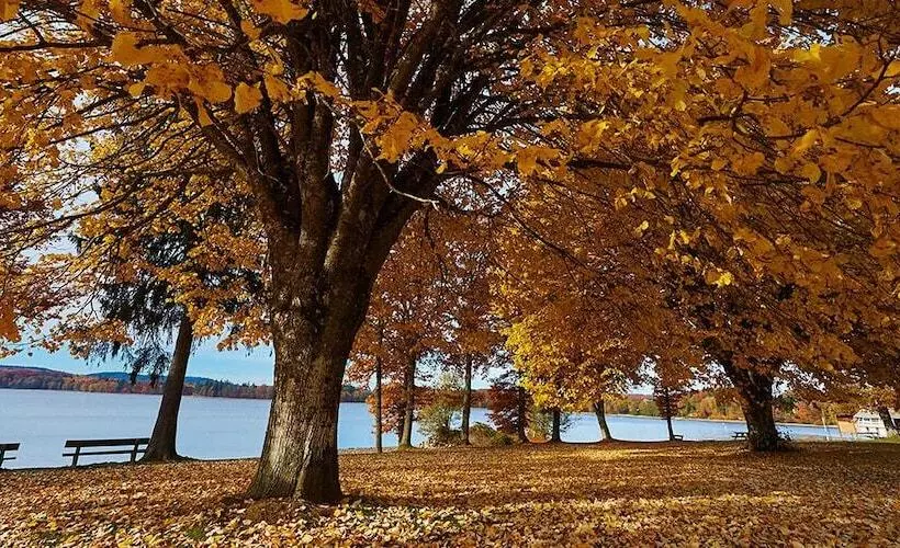 Отель Le Relais Des Lacs Bourgogne Morvan