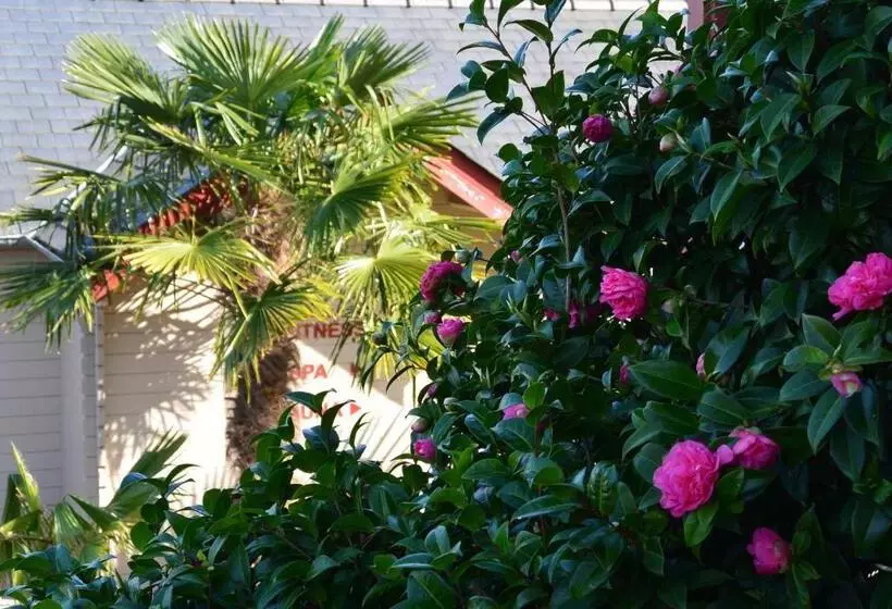 ホテル Nuit Et Jour   La Maison De Lucile