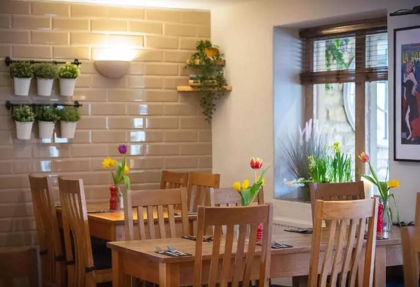 בית מלון כפרי Chester House