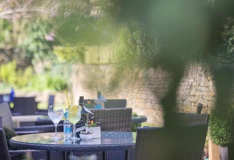 בית מלון כפרי Chester House