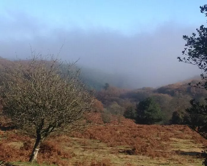 בית מלון כפרי Combe House