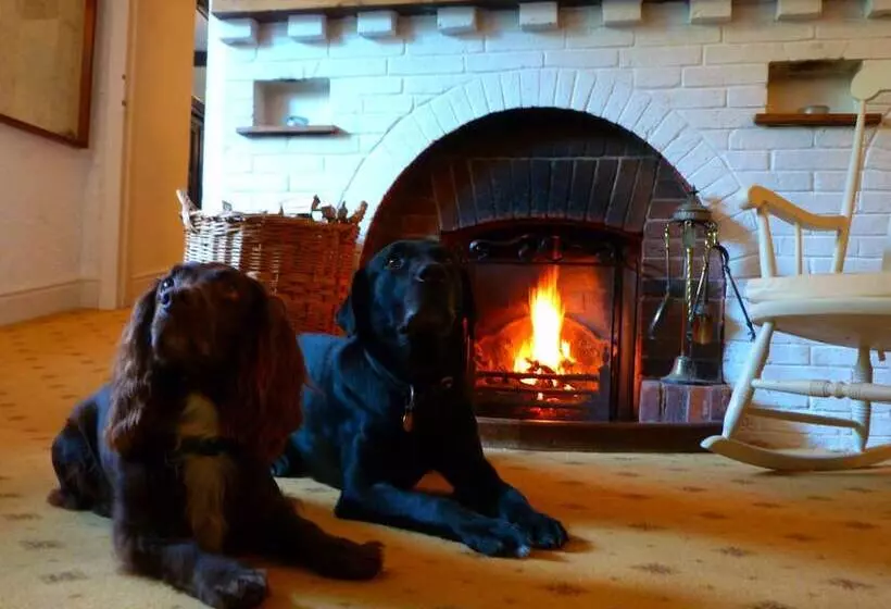 בית מלון כפרי Combe House