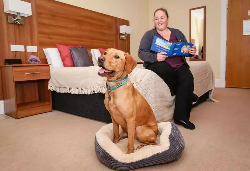 호텔 Marsham Court