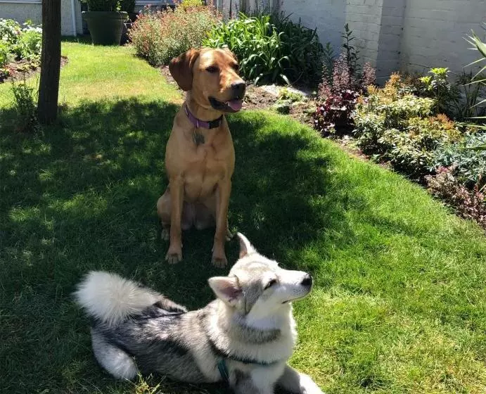 호텔 Marsham Court