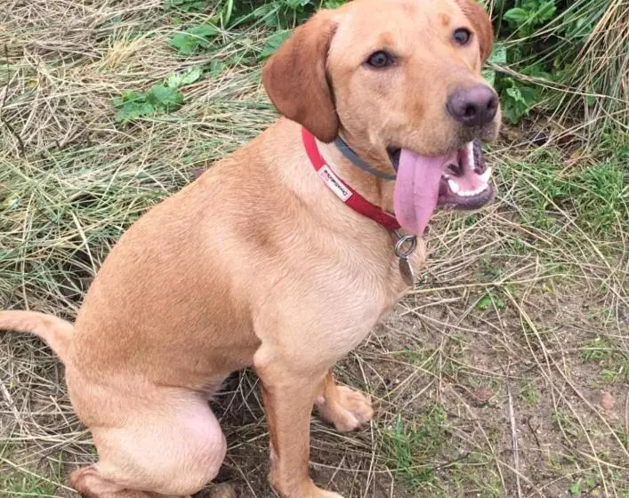 호텔 Marsham Court