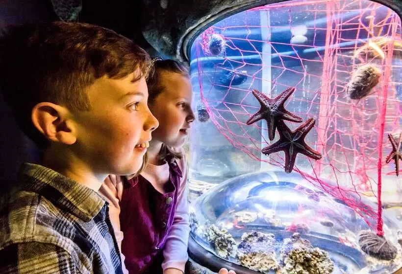 Hotel Mercure Brighton Seafront