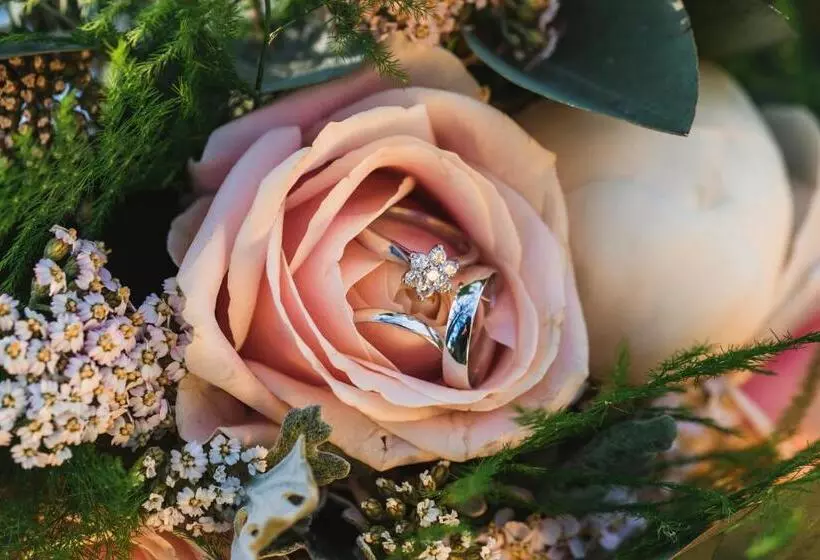 Отель Park House