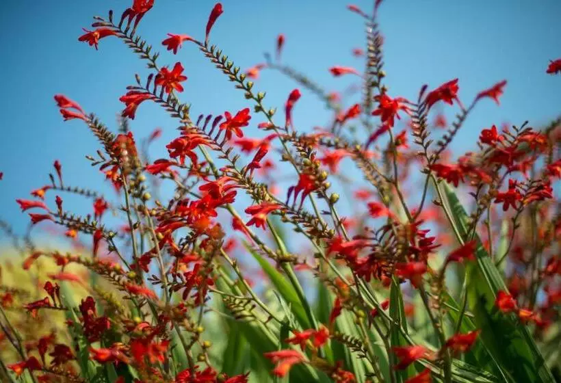 Отель Park House