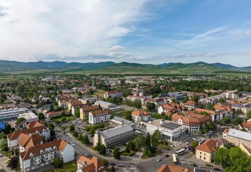 בית מלון כפרי Bodrog Wellness & Elix Spa