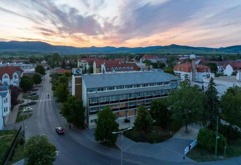 בית מלון כפרי Bodrog Wellness & Elix Spa