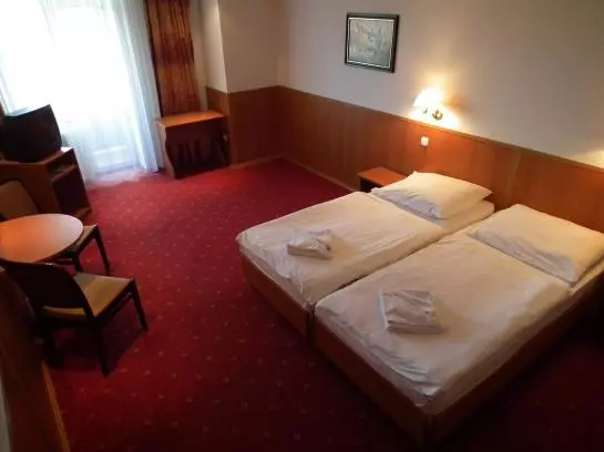 Отель Fenyves Panorama