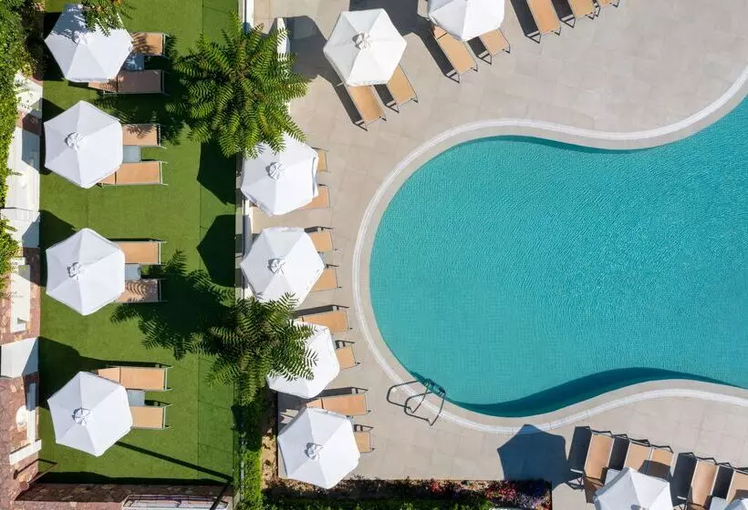 Отель Olympic Palace