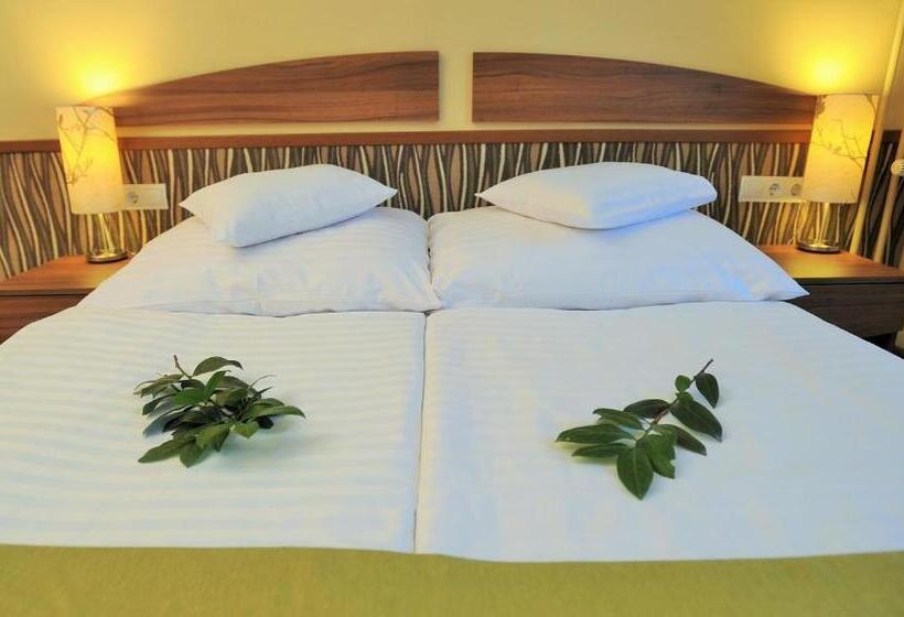 Park Hotel Gyula