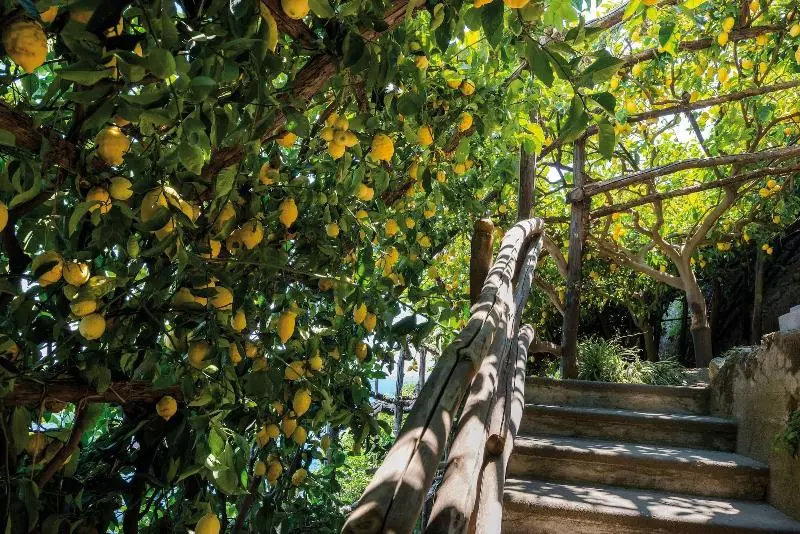 ホテル Santa Caterina